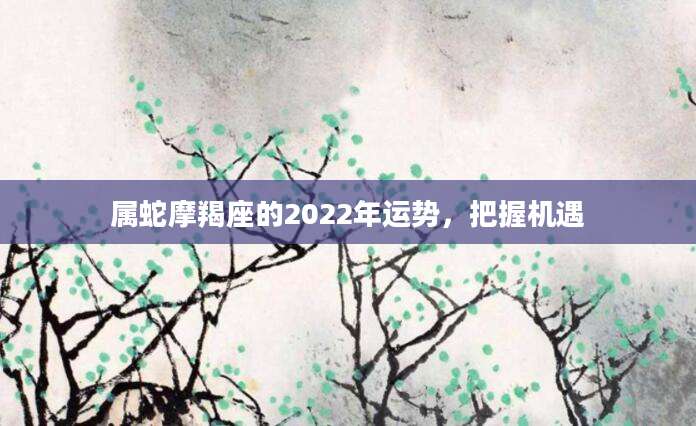 属蛇摩羯座的2022年运势，把握机遇