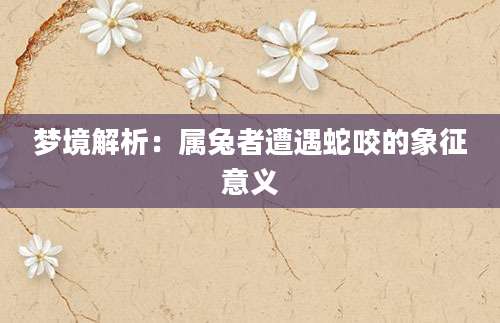梦境解析：属兔者遭遇蛇咬的象征意义