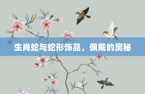 生肖蛇与蛇形饰品，佩戴的奥秘