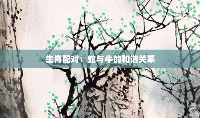 生肖配对：蛇与牛的和谐关系