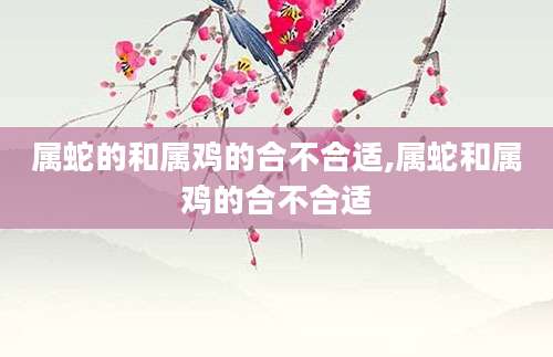 属蛇的和属鸡的合不合适,属蛇和属鸡的合不合适