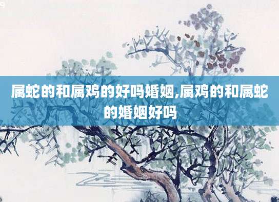 属蛇的和属鸡的好吗婚姻,属鸡的和属蛇的婚姻好吗