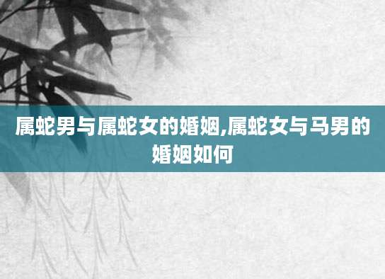 属蛇男与属蛇女的婚姻,属蛇女与马男的婚姻如何