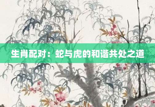 生肖配对：蛇与虎的和谐共处之道