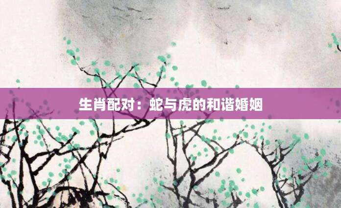生肖配对：蛇与虎的和谐婚姻