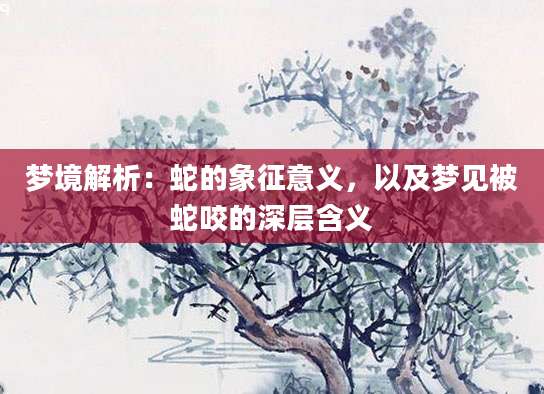 梦境解析：蛇的象征意义，以及梦见被蛇咬的深层含义