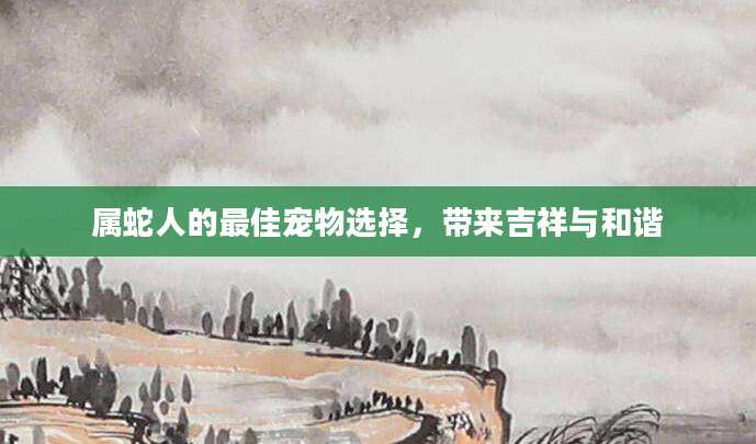 属蛇人的最佳宠物选择，带来吉祥与和谐