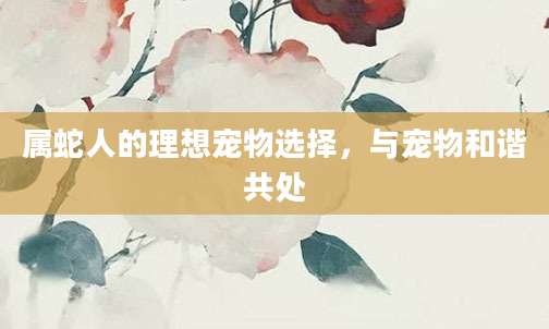 属蛇人的理想宠物选择，与宠物和谐共处