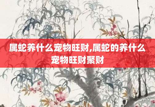 属蛇养什么宠物旺财,属蛇的养什么宠物旺财聚财