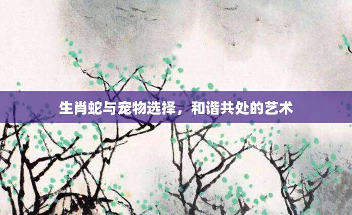 生肖蛇与宠物选择，和谐共处的艺术