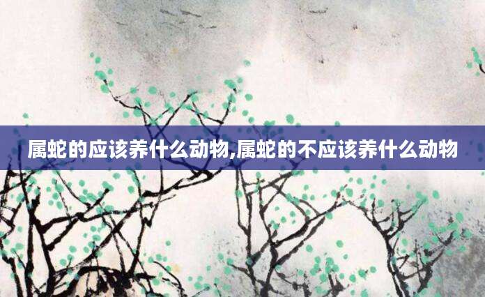 属蛇的应该养什么动物,属蛇的不应该养什么动物