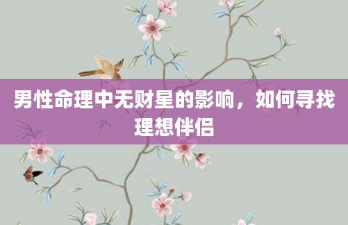 男性命理中无财星的影响，如何寻找理想伴侣