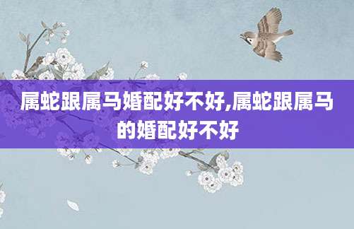 属蛇跟属马婚配好不好,属蛇跟属马的婚配好不好