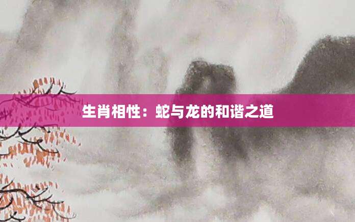 生肖相性：蛇与龙的和谐之道