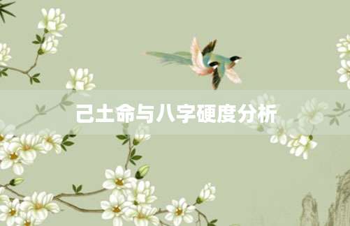 己土命与八字硬度分析