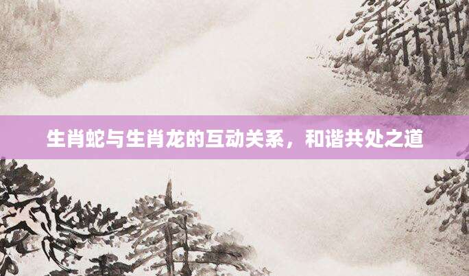 生肖蛇与生肖龙的互动关系，和谐共处之道