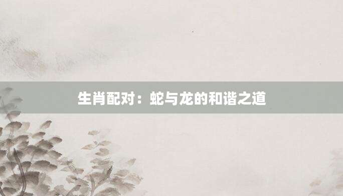 生肖配对：蛇与龙的和谐之道
