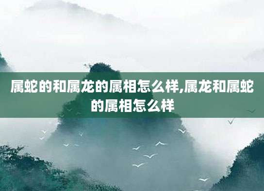 属蛇的和属龙的属相怎么样,属龙和属蛇的属相怎么样