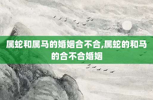 属蛇和属马的婚姻合不合,属蛇的和马的合不合婚姻