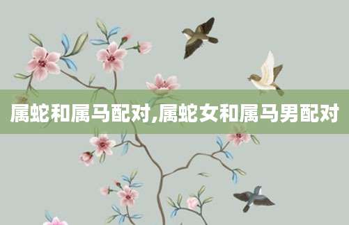 属蛇和属马配对,属蛇女和属马男配对