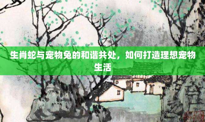 生肖蛇与宠物兔的和谐共处，如何打造理想宠物生活