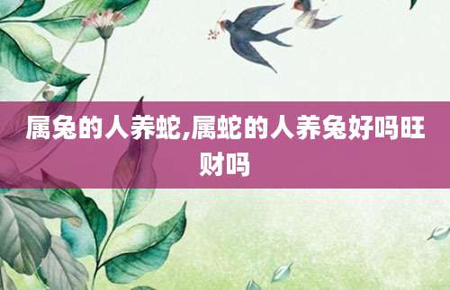 属兔的人养蛇,属蛇的人养兔好吗旺财吗