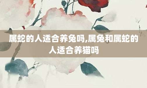 属蛇的人适合养兔吗,属兔和属蛇的人适合养猫吗