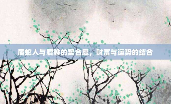 属蛇人与貔貅的契合度，财富与运势的结合