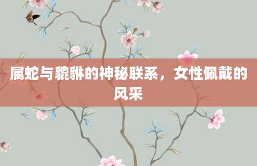 属蛇与貔貅的神秘联系，女性佩戴的风采