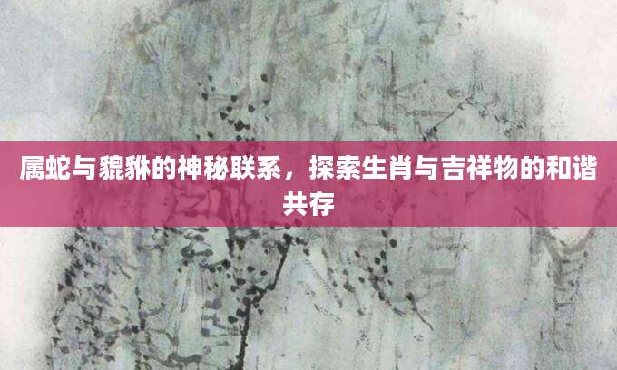 属蛇与貔貅的神秘联系，探索生肖与吉祥物的和谐共存