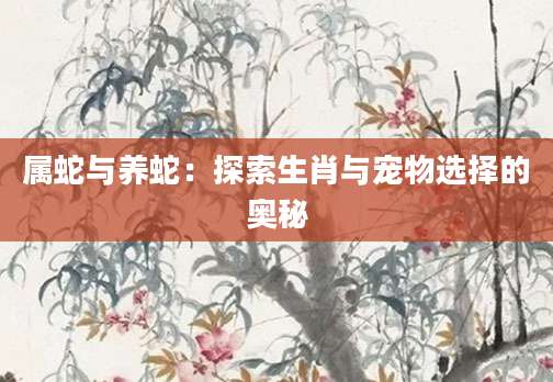属蛇与养蛇：探索生肖与宠物选择的奥秘