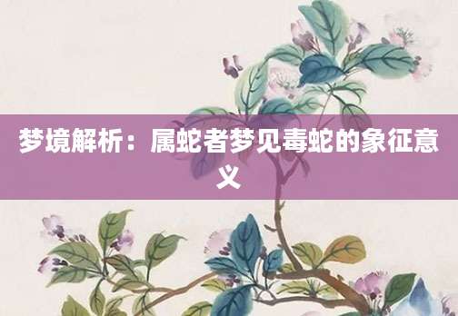 梦境解析：属蛇者梦见毒蛇的象征意义