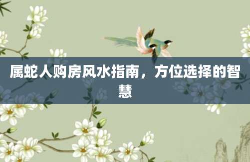 属蛇人购房风水指南，方位选择的智慧