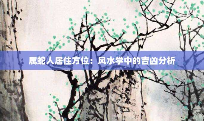 属蛇人居住方位：风水学中的吉凶分析