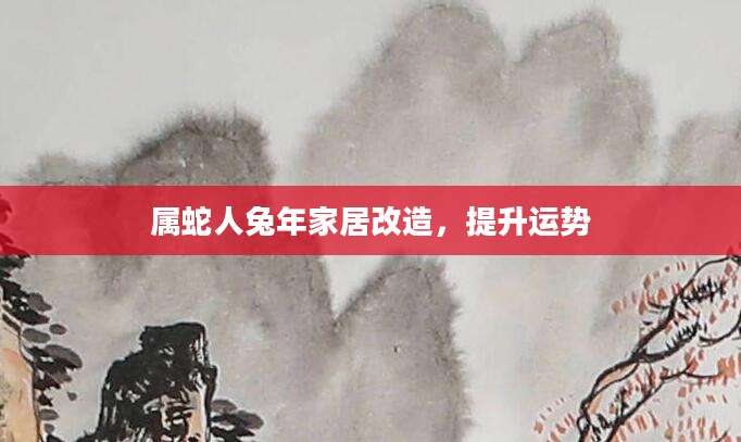 属蛇人兔年家居改造，提升运势