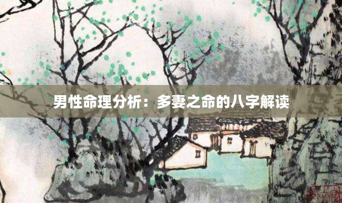 男性命理分析：多妻之命的八字解读