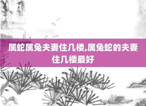 属蛇属兔夫妻住几楼,属兔蛇的夫妻住几楼最好