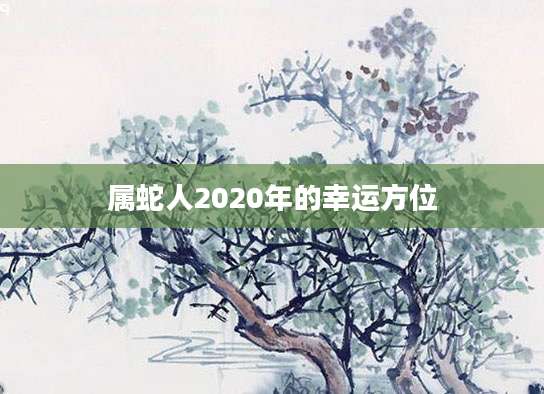 属蛇人2020年的幸运方位