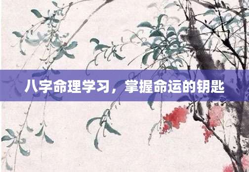 八字命理学习，掌握命运的钥匙