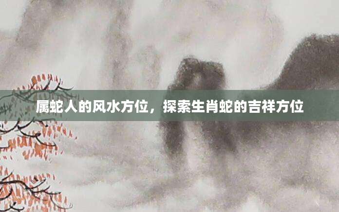 属蛇人的风水方位，探索生肖蛇的吉祥方位