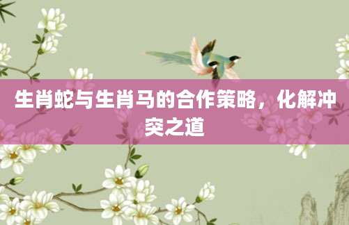 生肖蛇与生肖马的合作策略，化解冲突之道