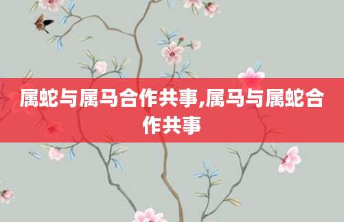 属蛇与属马合作共事,属马与属蛇合作共事