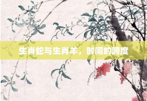 生肖蛇与生肖羊，时间的跨度