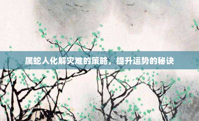 属蛇人化解灾难的策略，提升运势的秘诀