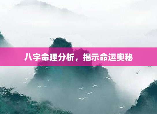 八字命理分析，揭示命运奥秘