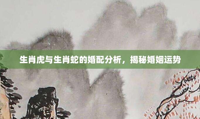 生肖虎与生肖蛇的婚配分析，揭秘婚姻运势