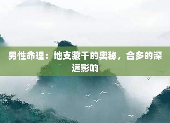 男性命理：地支藏干的奥秘，合多的深远影响