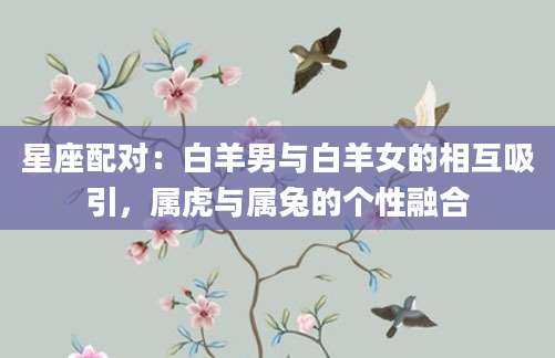 星座配对：白羊男与白羊女的相互吸引，属虎与属兔的个性融合
