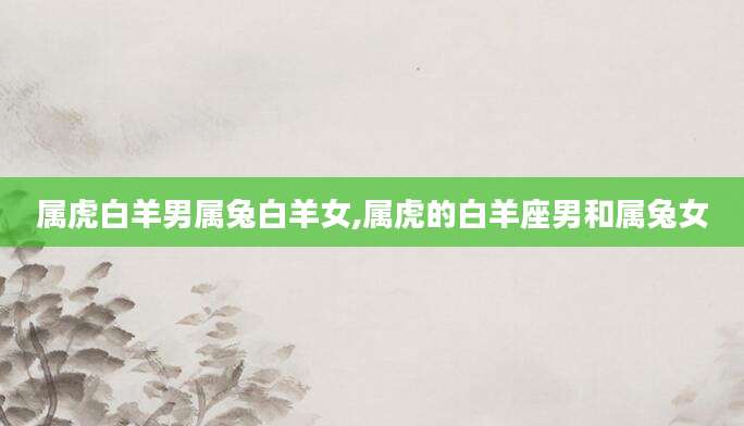 属虎白羊男属兔白羊女,属虎的白羊座男和属兔女