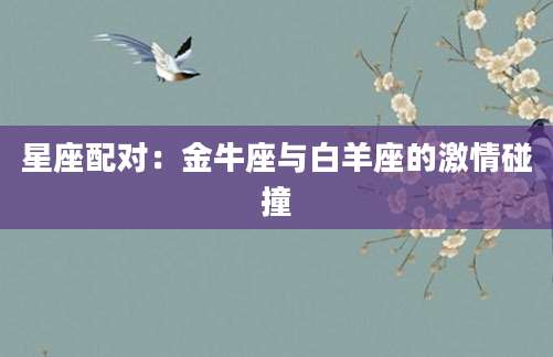 星座配对：金牛座与白羊座的激情碰撞